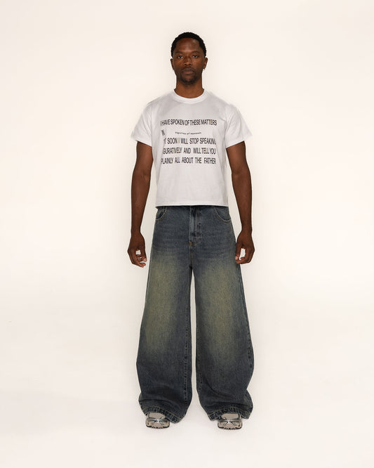 Archive Denims (blue)